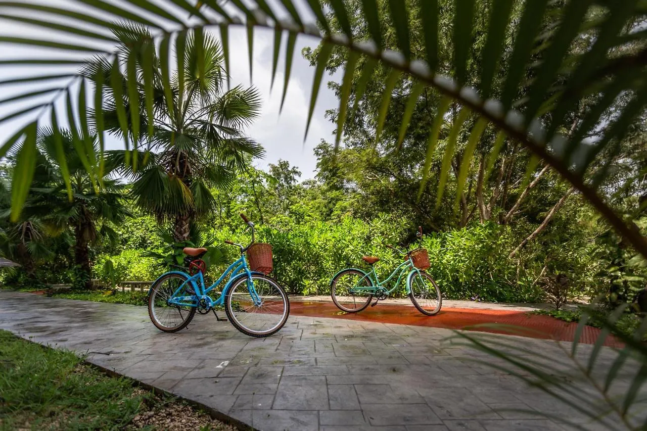 Playa Aurora Apartman Playa del Carmen
